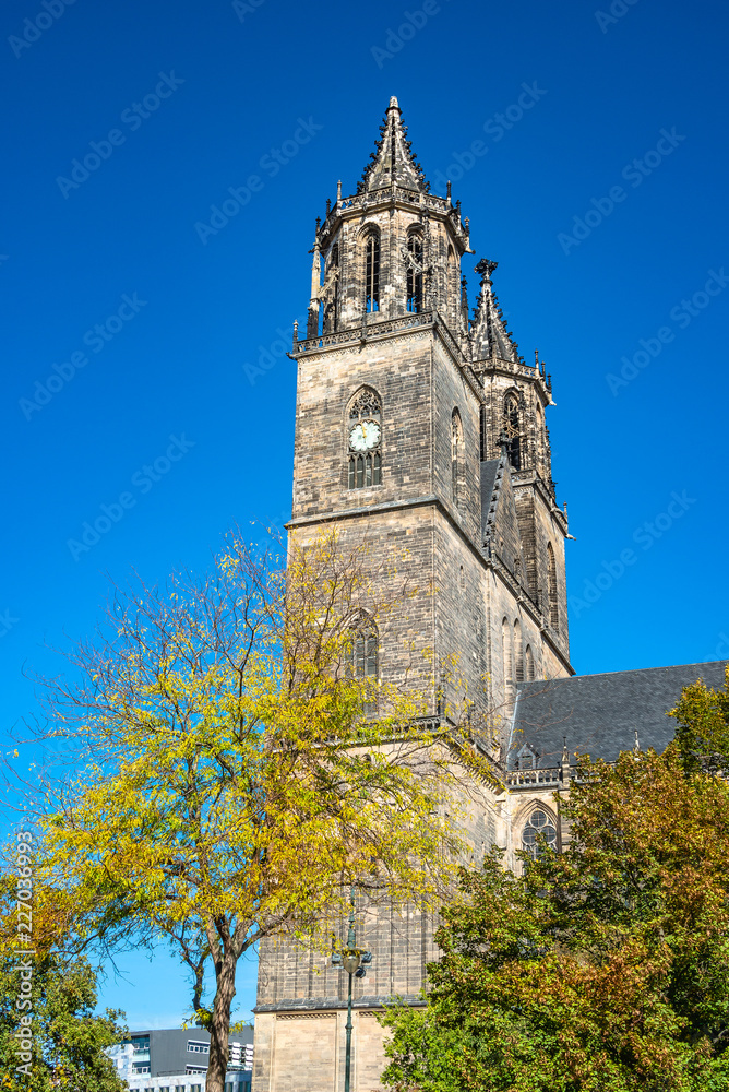 Magnificent colorful Cathedral of Magdeburg in Autumn, Germany,