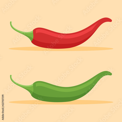 Red and green chilli peppers flat style icon on orange background. Vector illustration.