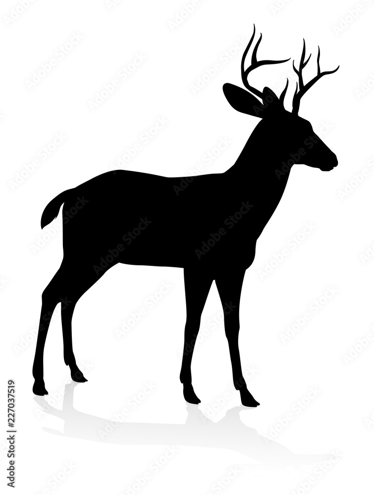Fototapeta premium High quality animal silhouette of a deer