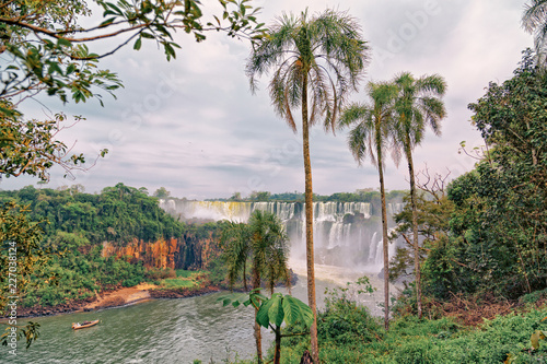 Iguacu Falls and palm trees