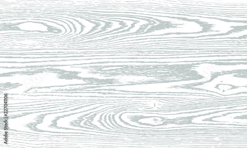 Wood texture. Dry wooden overlay texture. Design background. Vector illustration.