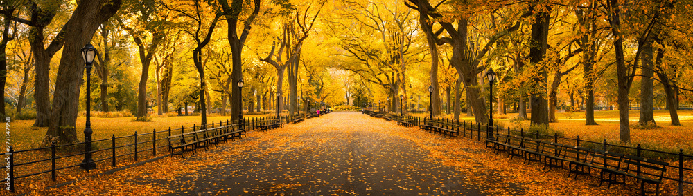Naklejka premium Jesienna panorama w Central Parku w Nowym Jorku, USA