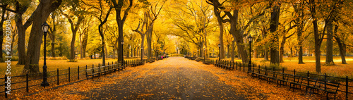 Jesieni panorama w central park, Miasto Nowy Jork, usa