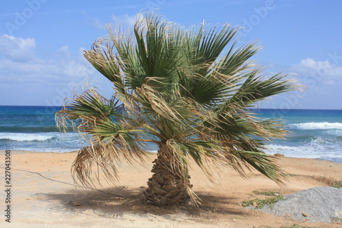 Coast Crete, Greece