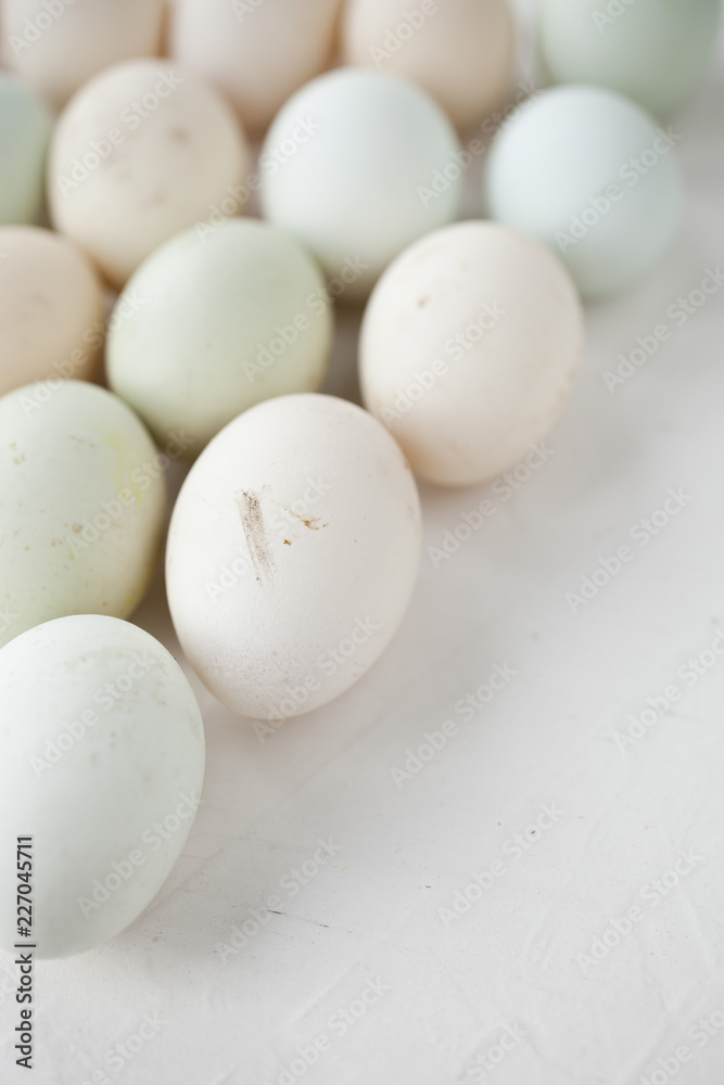 lot of eggs in multiple colors lot of eggs in multiple colors