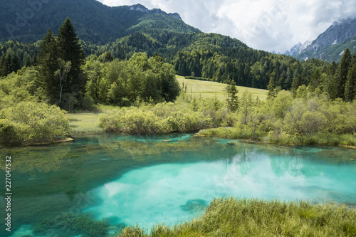 scenic destination zelenci - river dolinka source in summertime, slovenia photo