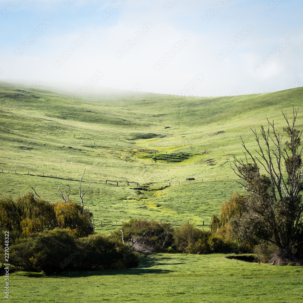 Obraz premium Green Farm paddock in hills with low cloud