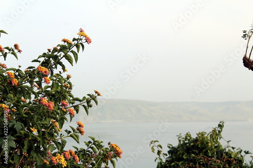 Shore of the sea of galilee