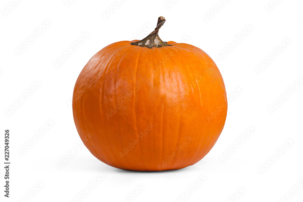 Halloween Motiv Halloween Motiv