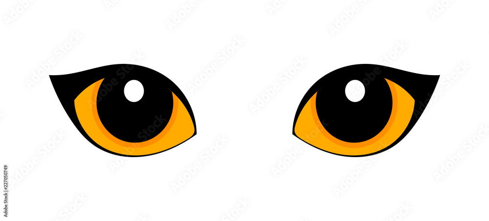 Orange cat eyes isolated on white background