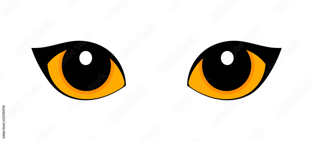 Orange cat eyes isolated on white background Orange cat eyes isolated on white background
