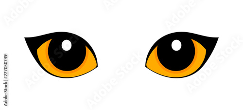 Orange cat eyes isolated on white background