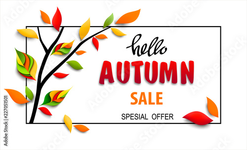 Autumn sale banner with text hello autumn, sale and special offer. Vector illustration with tree branch and colorful paper leaves