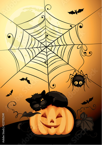 Black cat on pumpkin / Funny vector illustration, Halloween background