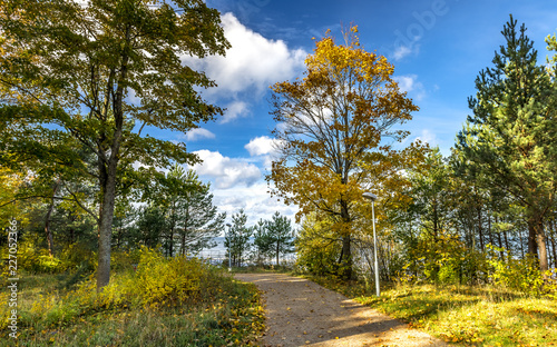 Autumn in forest public park near a Baltic Sea in Jurmala - famous tourist re...
