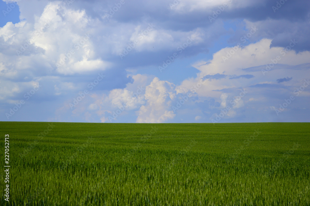 Horizon of a beautiful field and sky