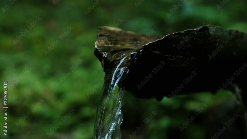 Water pours through a tree in the forest, the source of water is a mountain stream flowing in the mountains at a campsite, slow motion. Water pours through a tree in the forest, the source of water is a mountain stream flowing in the mountains at a campsite, slow motion.