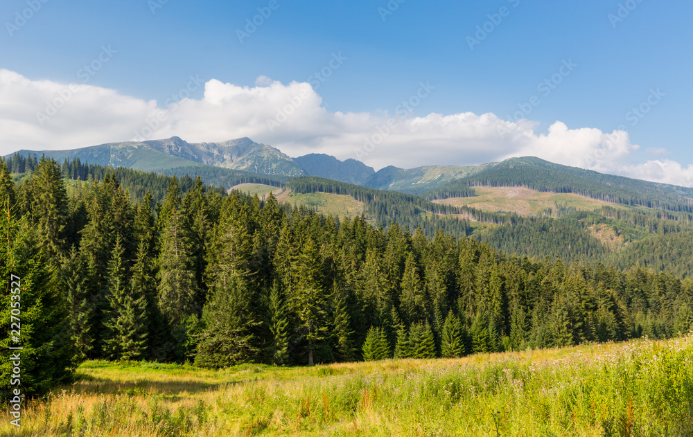 nice morning landscape in Tatras