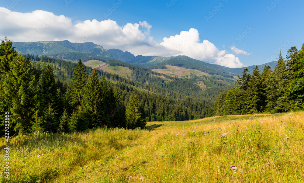 mountain landscape in Tatras
