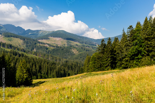 nice mountain valley in Low Tatras