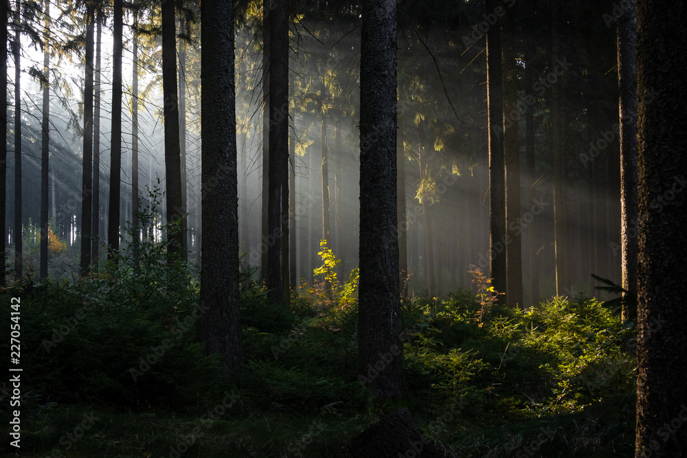 Naklejka premium Mystic Moment