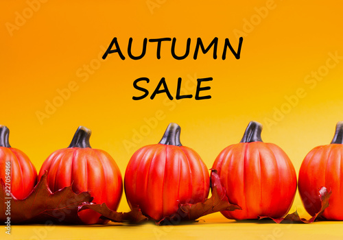 Autumn sale background. Text autumn sale.