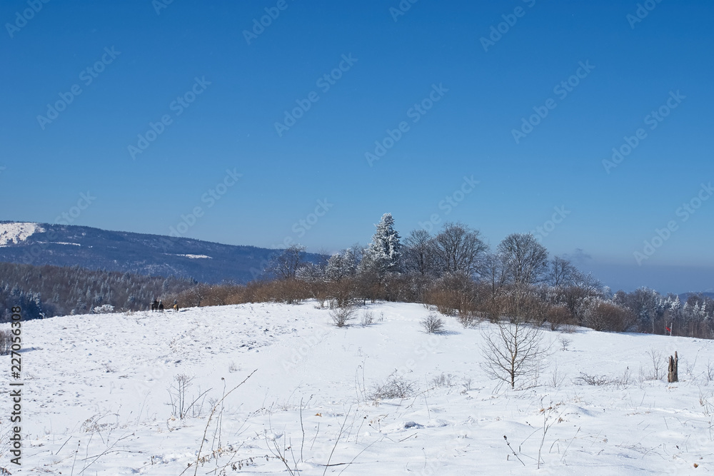 Panoramic view of the mountains. In the foreground there is a snow-covered glade, on the middle a forest, on the far a cliff, on the background. The Main Caucasian Ridge, Russia Panoramic view of the mountains. In the foreground there is a snow-covered glade, on the middle a forest, on the far a cliff, on the background. The Main Caucasian Ridge, Russia
