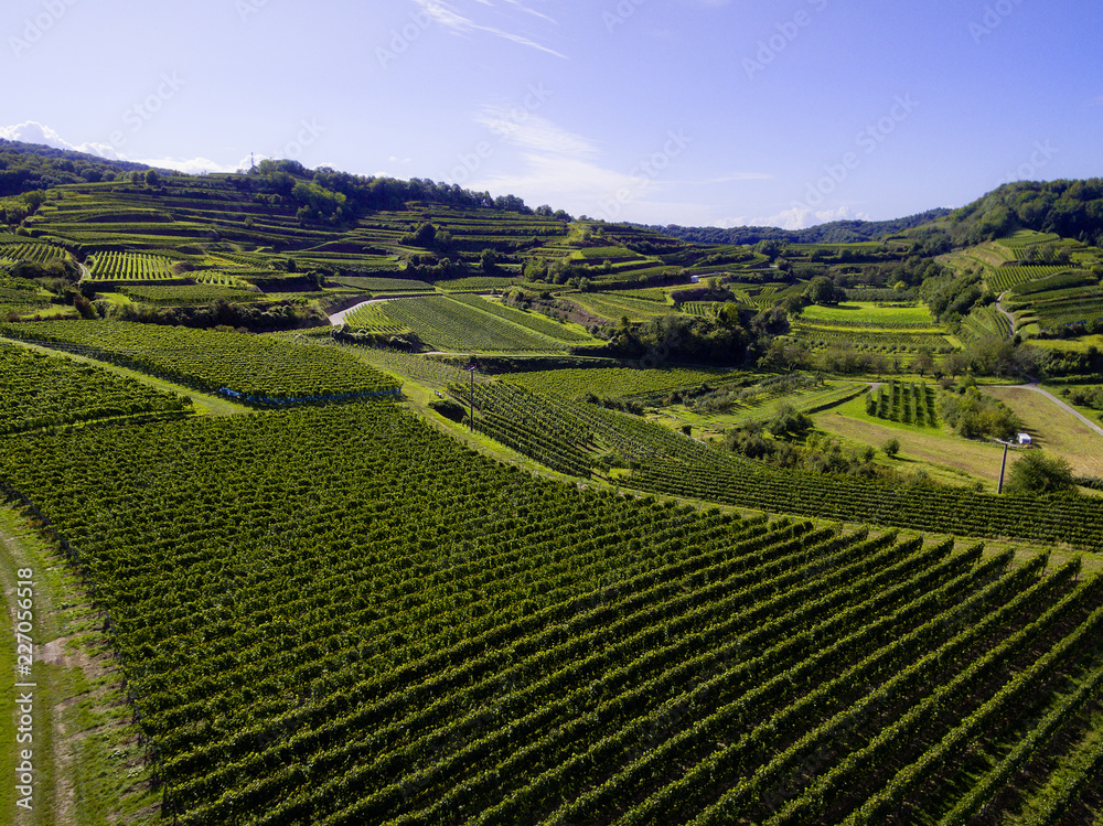 Weinberge Reben mit Drohne 