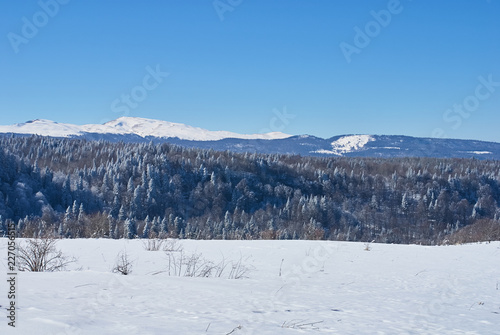 Panoramic view of the mountains. In the foreground there is a snow-covered glade, on the middle a forest, on the far a cliff, on the background. The Main Caucasian Ridge, Russia