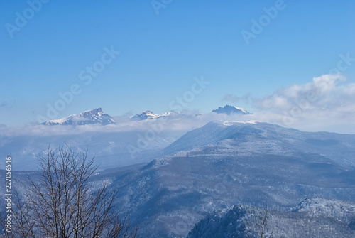 Panoramic view of the mountains. In the foreground are branches of snow-covered trees  against the background is a clear blue sky. Lago-Naki  The Main Caucasian Ridge  Russia