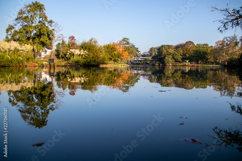 Wallpaper Mural Reflection of Trees in Lake Torontodigital.ca