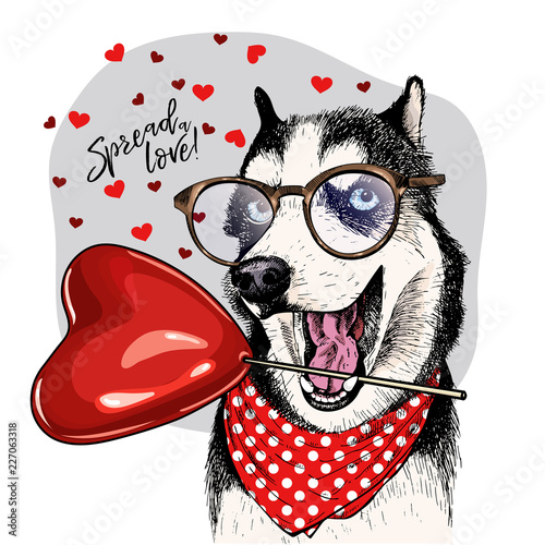 Hand drawn siberian husky with heart shape baloon. Vector Valentine day greeting card. Cute colorful dog wears glasses and bandana. Romantic design. Lovely pet portrait. Poster, banner. Spread love.