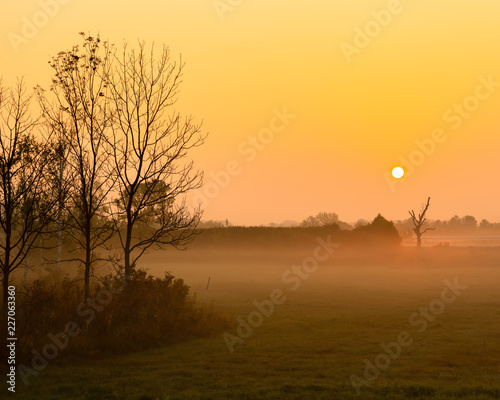 Sonnenaufgang mit Nebel in Orange