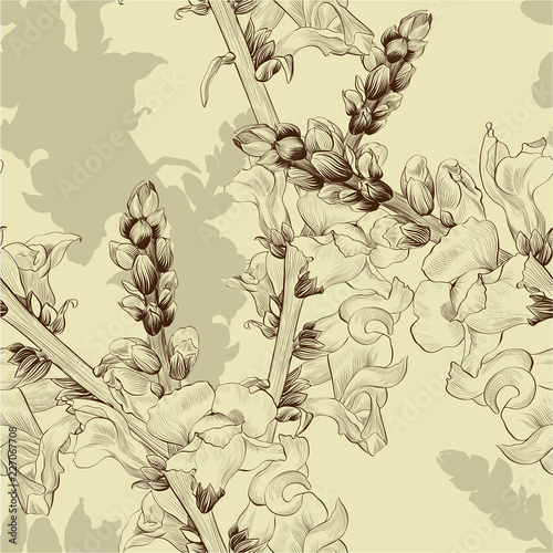 Vector illustration. A branch with flowers and buds. Seamless pattern.Antirrhinum. Medicinal, perfume and cosmetic plants. Wallpaper. Garden flowers. 