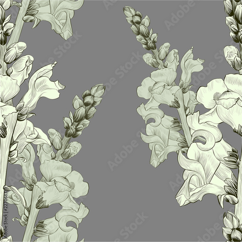 Vector illustration. A branch with flowers and buds. Seamless pattern.Antirrhinum. Medicinal, perfume and cosmetic plants. Wallpaper. Garden flowers. 