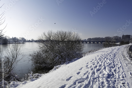 Arbres de bord de Loire sous la neige et le soleil