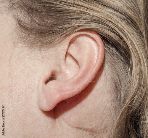Woman's ear close up photo