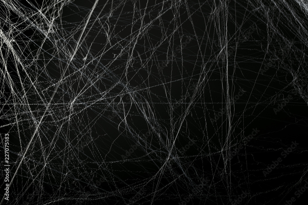 Halloween creepy cobweb spiders web with a black background