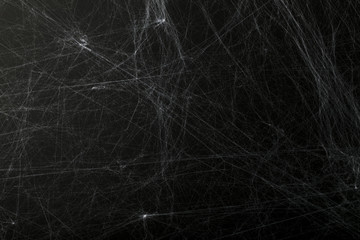 Halloween creepy cobweb spiders web with a black background