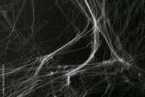 Halloween creepy cobweb spiders web with a black background photo