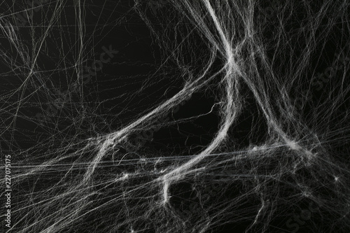 Photography Halloween creepy cobweb spiders web with a black background