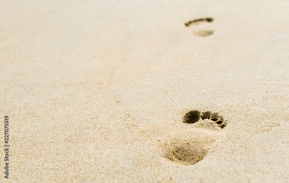 footprints in the sand on the beach closeup footprints in the sand on the beach closeup