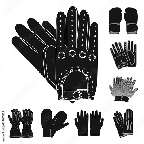 Vector design of glove and winter icon. Collection of glove and equipment vector icon for stock.