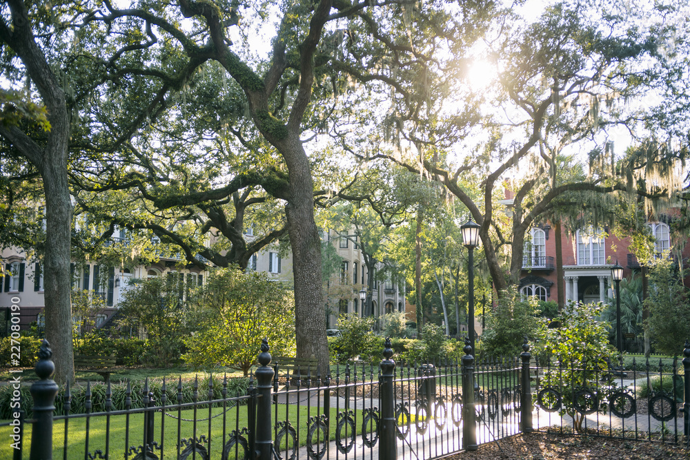 Bright scenic view of green parkland with sun shining through Spanish moss in Savannah, Georgia Bright scenic view of green parkland with sun shining through Spanish moss in Savannah, Georgia