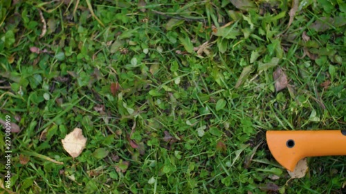 Wallpaper Mural The axe with birch stump lie on green the grass. A modern axe made for cutting firewood. 4k Torontodigital.ca