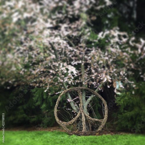 peace sign in the blossoms