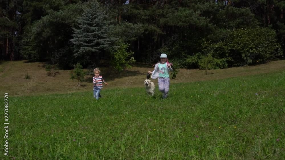 happy children and a beautiful dog running around the field over grass happy children and a beautiful dog running around the field over grass