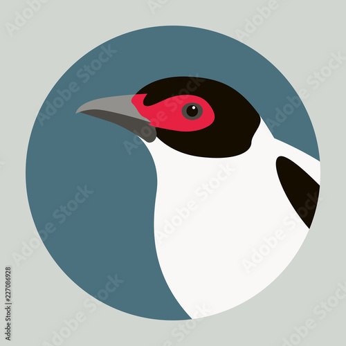 black-tailed tityra bird head vector illustration flat