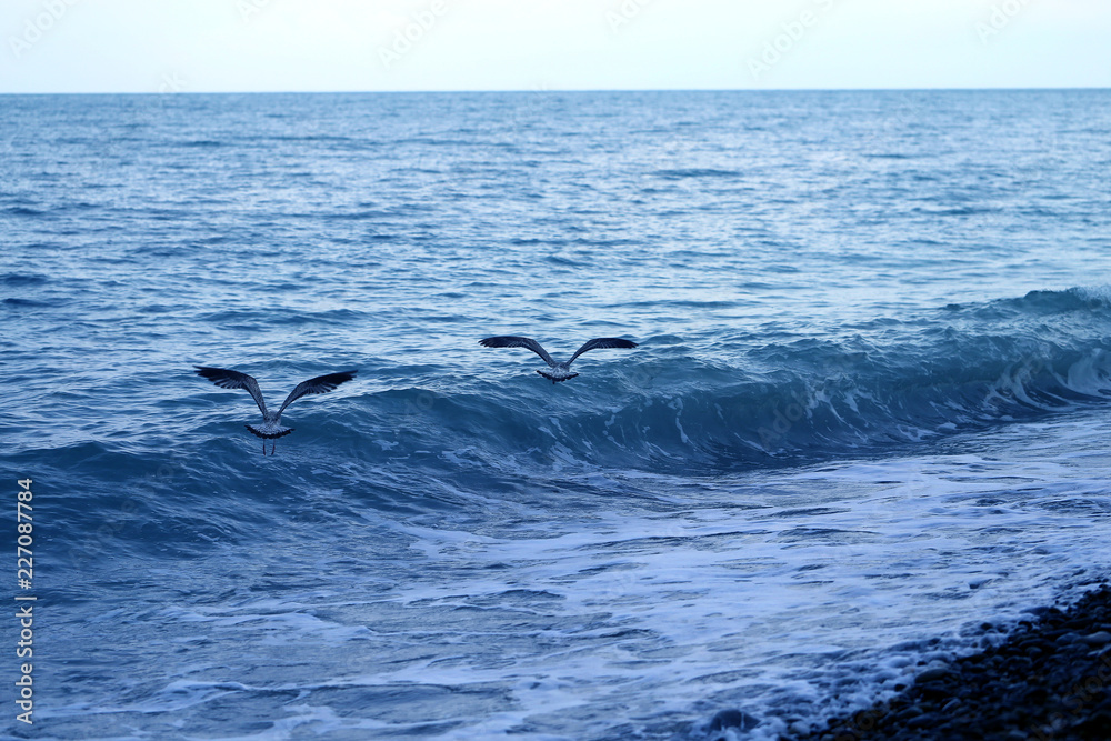 Naklejka premium Photo of the sea bright beautiful landscape