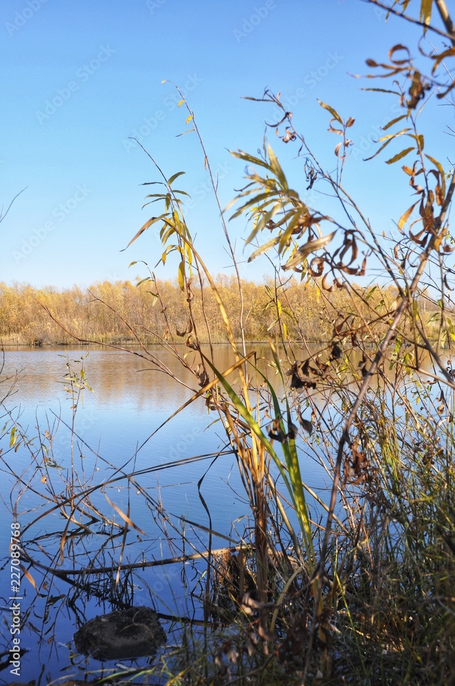 Nature Nature